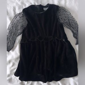 Zara Velvet Dress (Size 4/5)